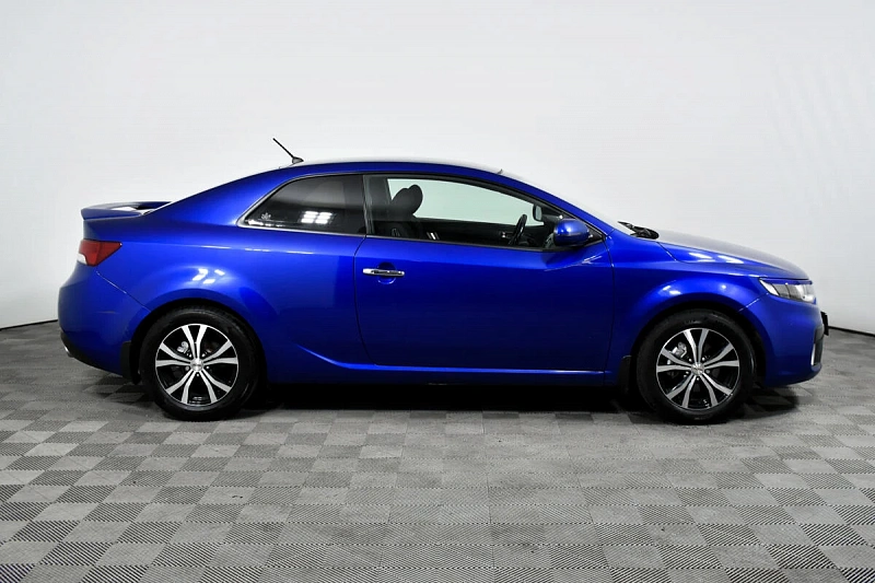 Cerato