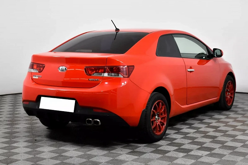 Cerato