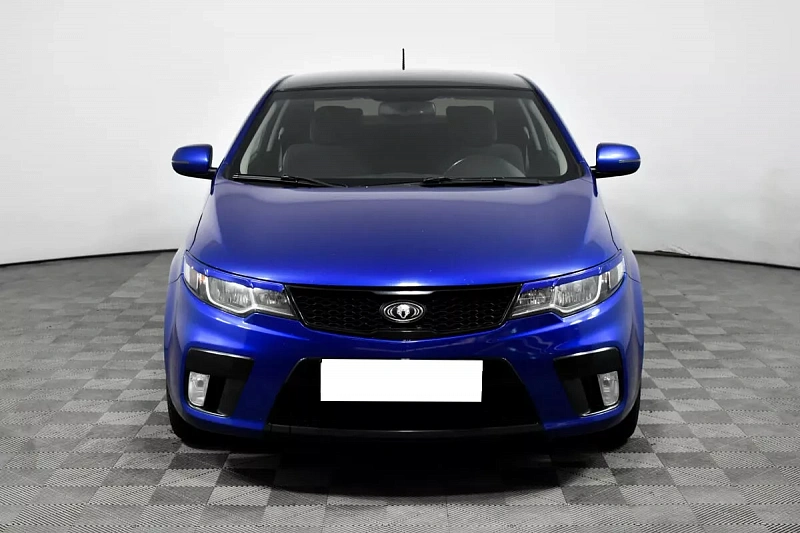 Cerato