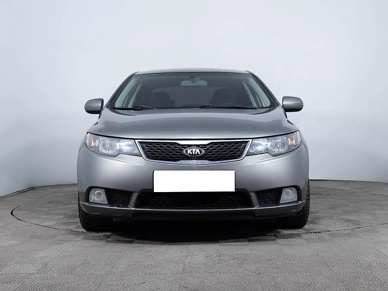 Cerato