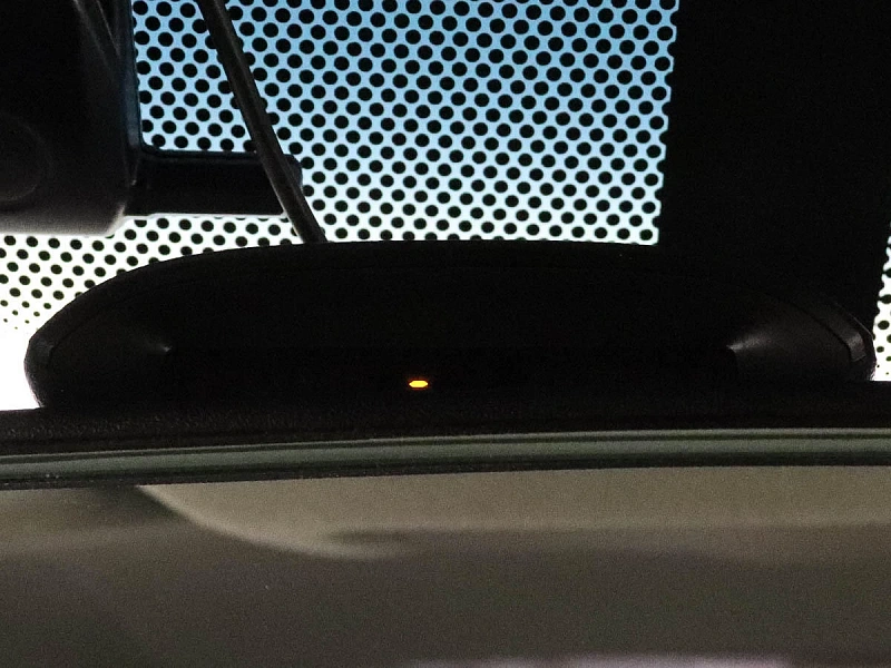 Cerato
