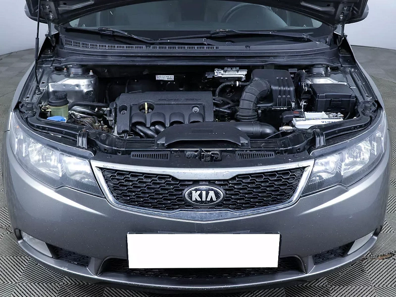 Cerato