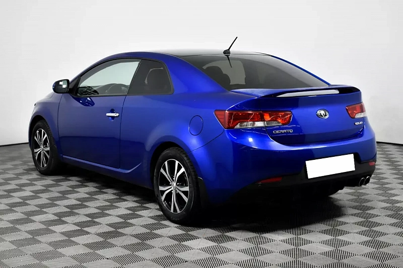 Cerato