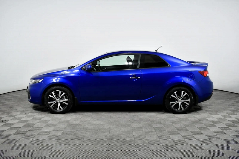 Cerato