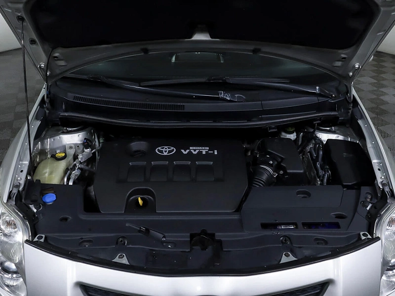 Auris