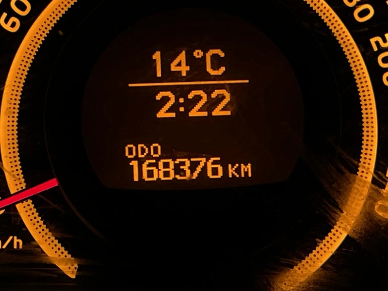 Auris