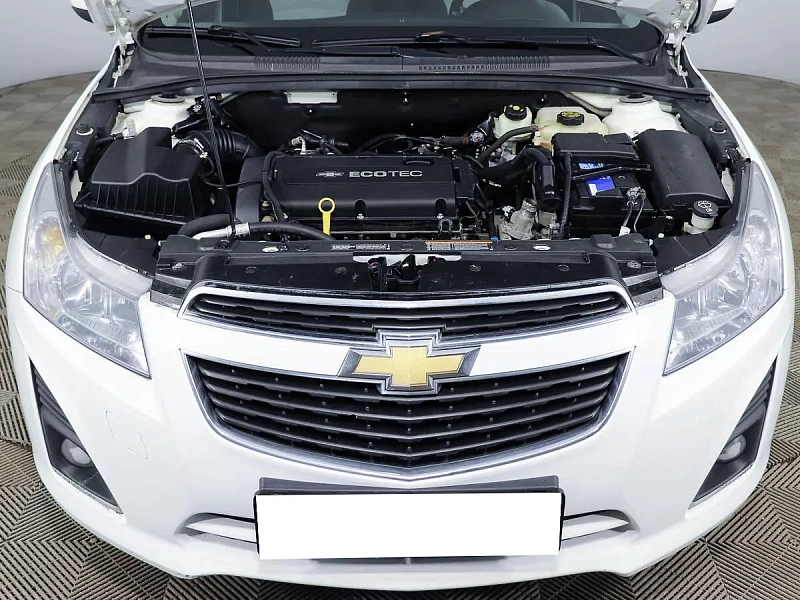 Cruze