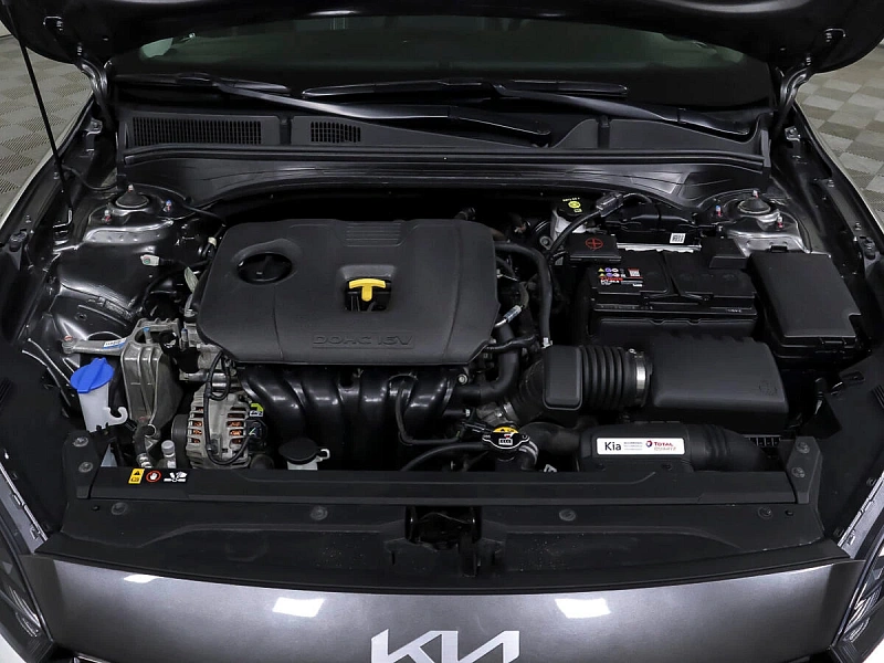 Cerato