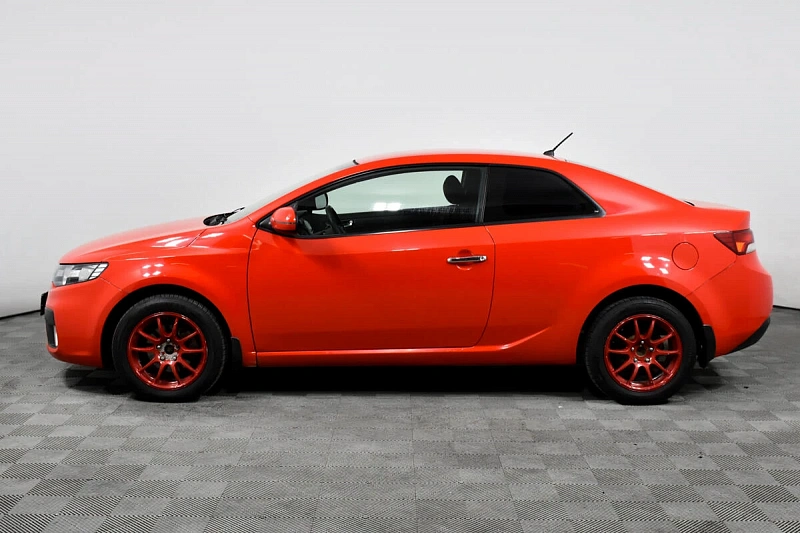 Cerato