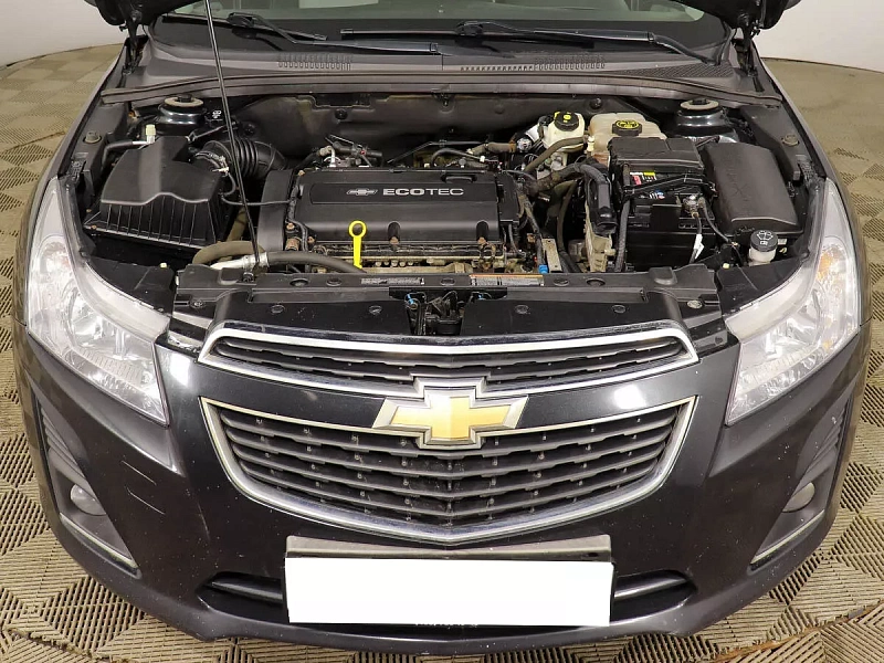 Cruze